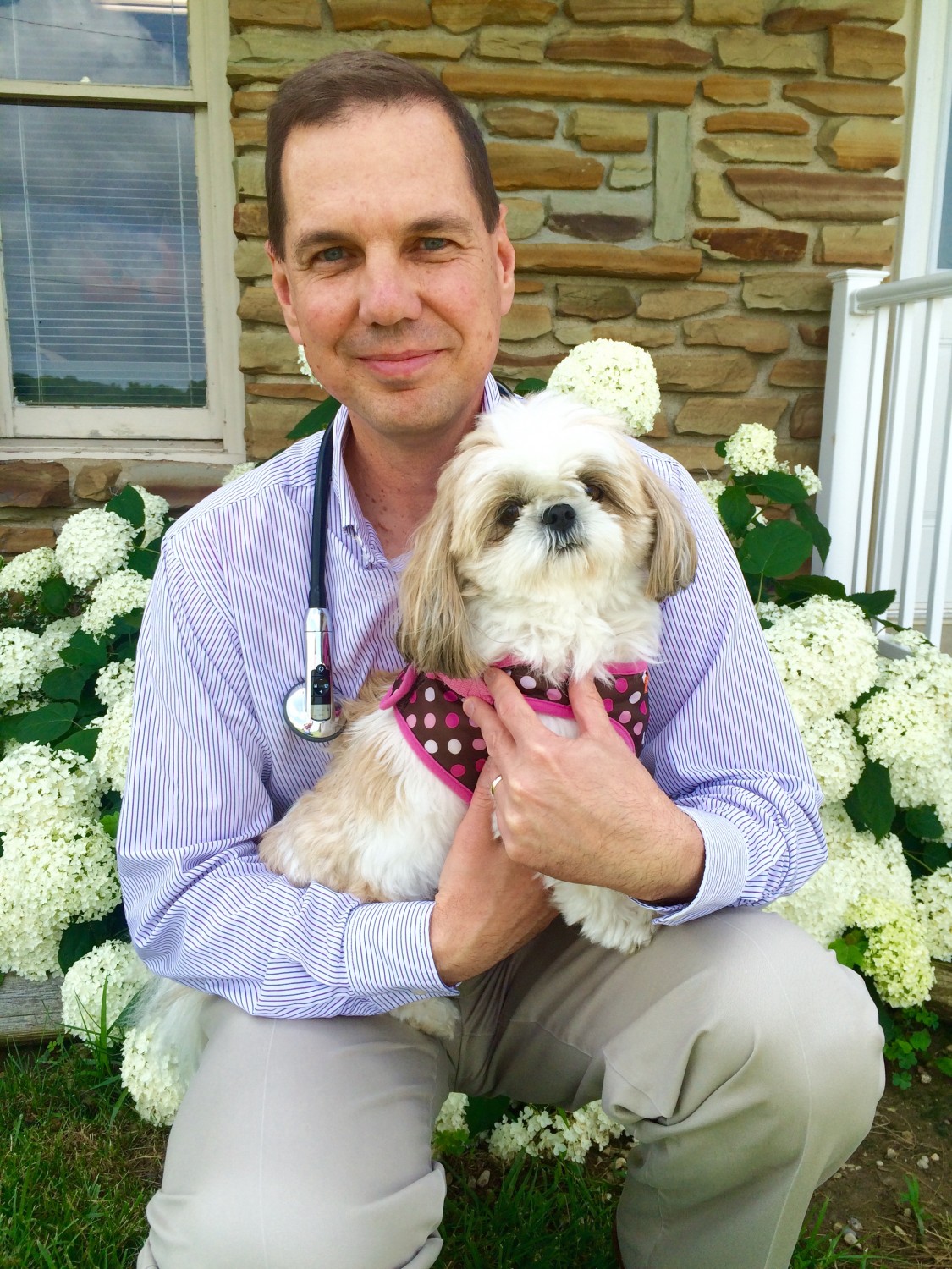 Dr. Jeffery Shelton welcomes you and your pet to Shelton Pet Hospital in Shelbyville, IN Dr. Jeffery Shelton welcomes you and your pet to Shelton Pet Hospital in Shelbyville, IN
